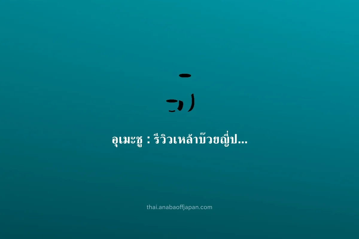 อุเมะชู คู่มือ（กินคนเดียว มื้อเย็น） ไม่ต้องจอง ดึก